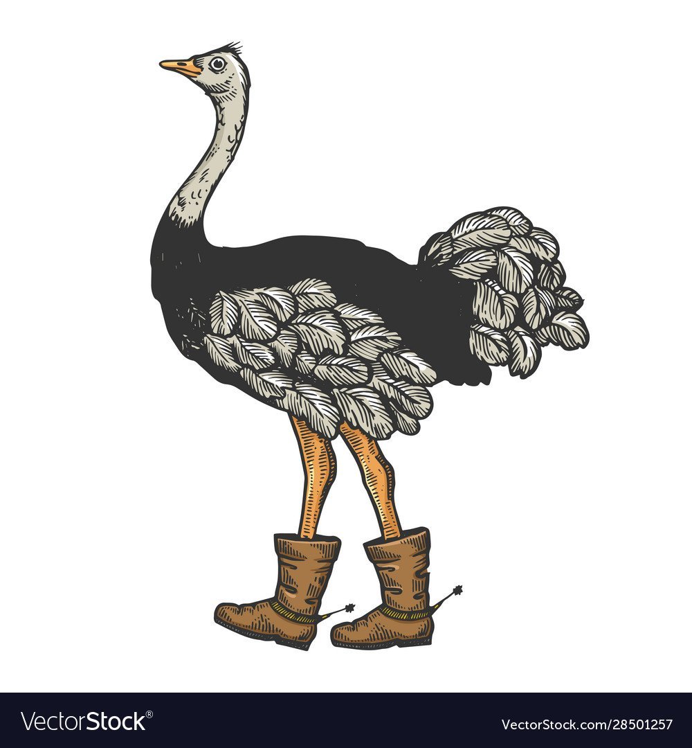 Страус бежит на белом фоне