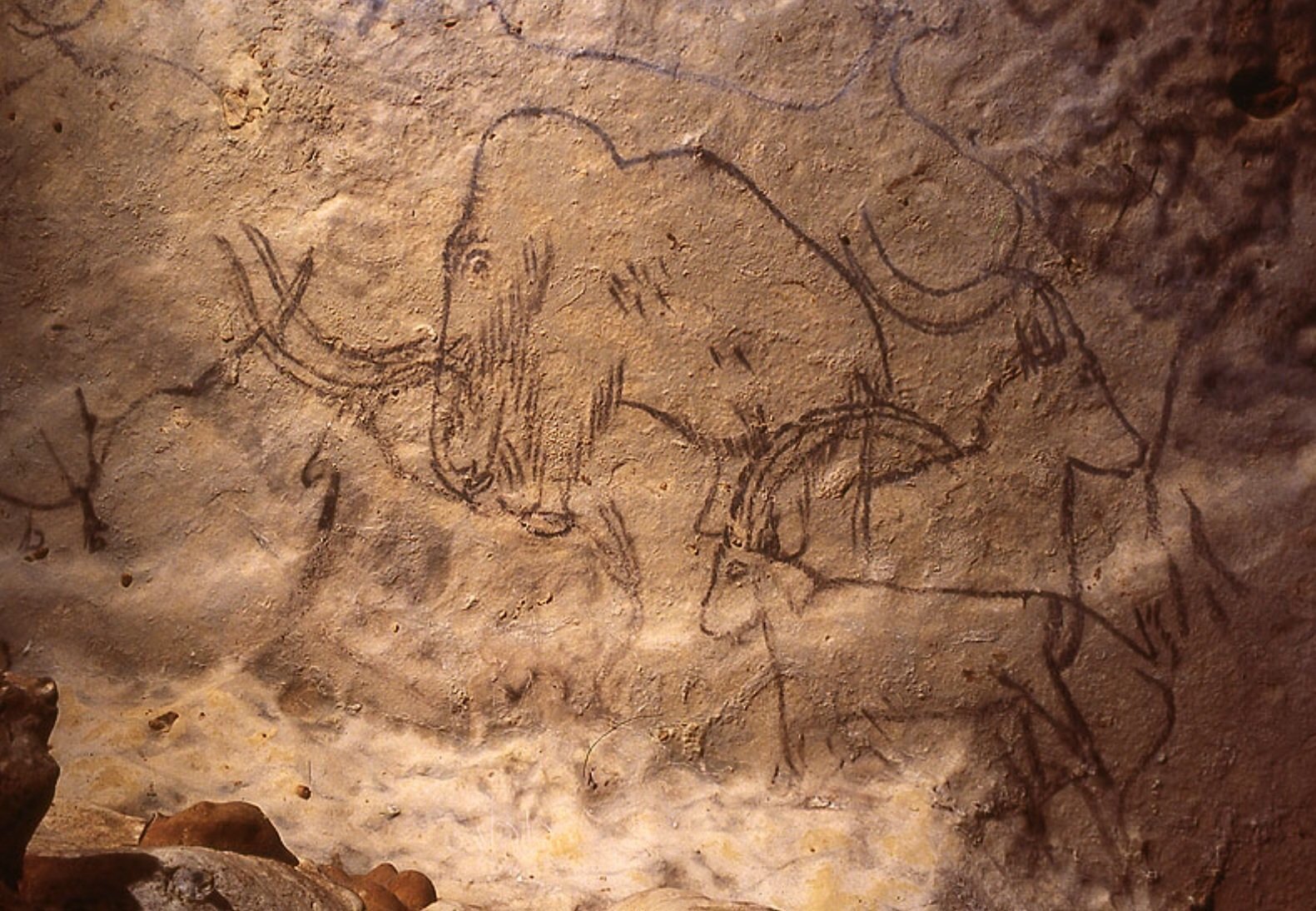 Первобытное изображение человека. Мамонт пещера Руффиньяк. Наскальная живопись пещера Руффиньяк. Пещера Руффиньяк наскальные рисунки. Руффиньяк пещера тысячи Мамонтов.