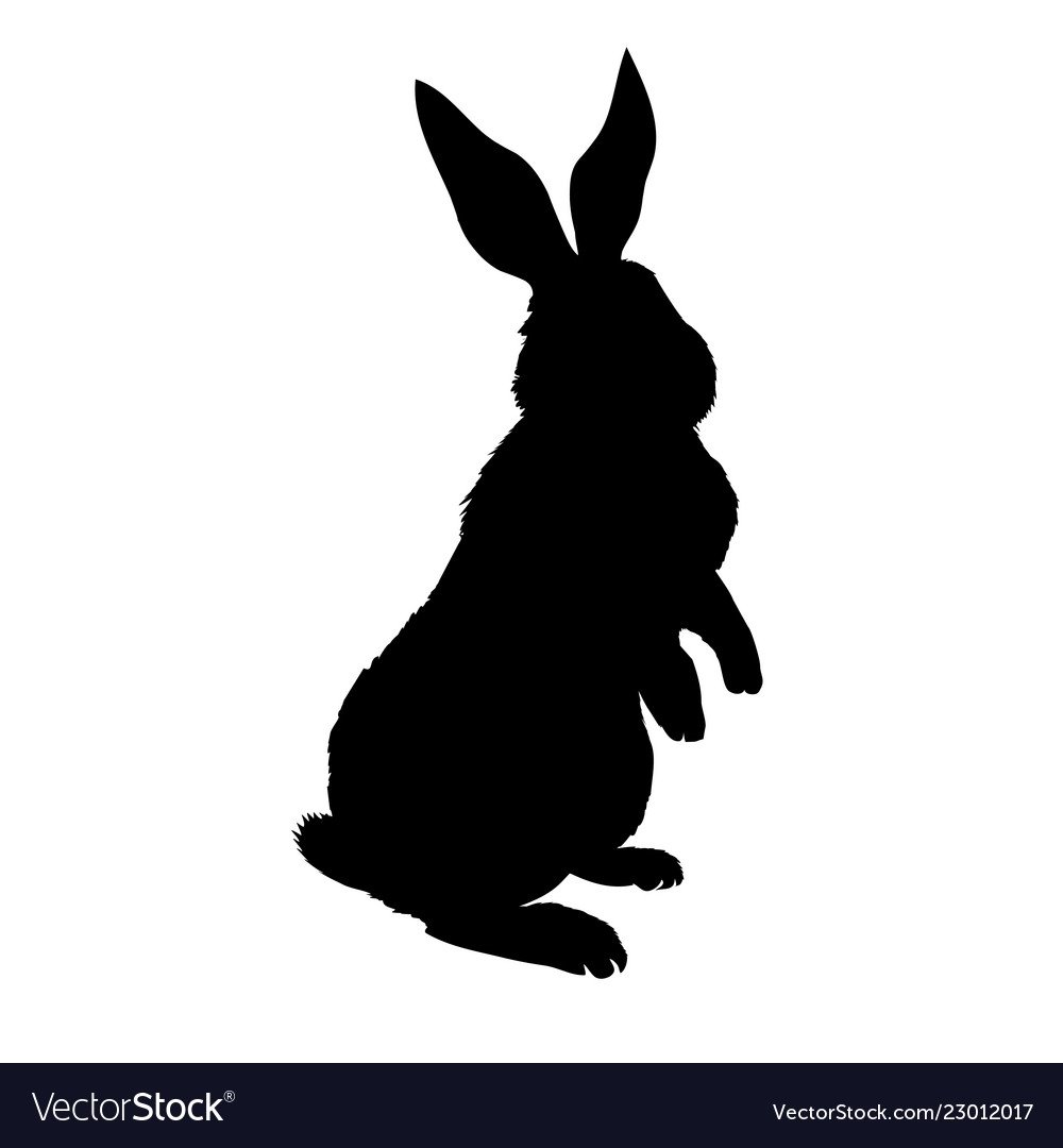 Зайчик тенью. Силуэт зайца. Тень зайца. Силуэт кролика. Тень кролика.