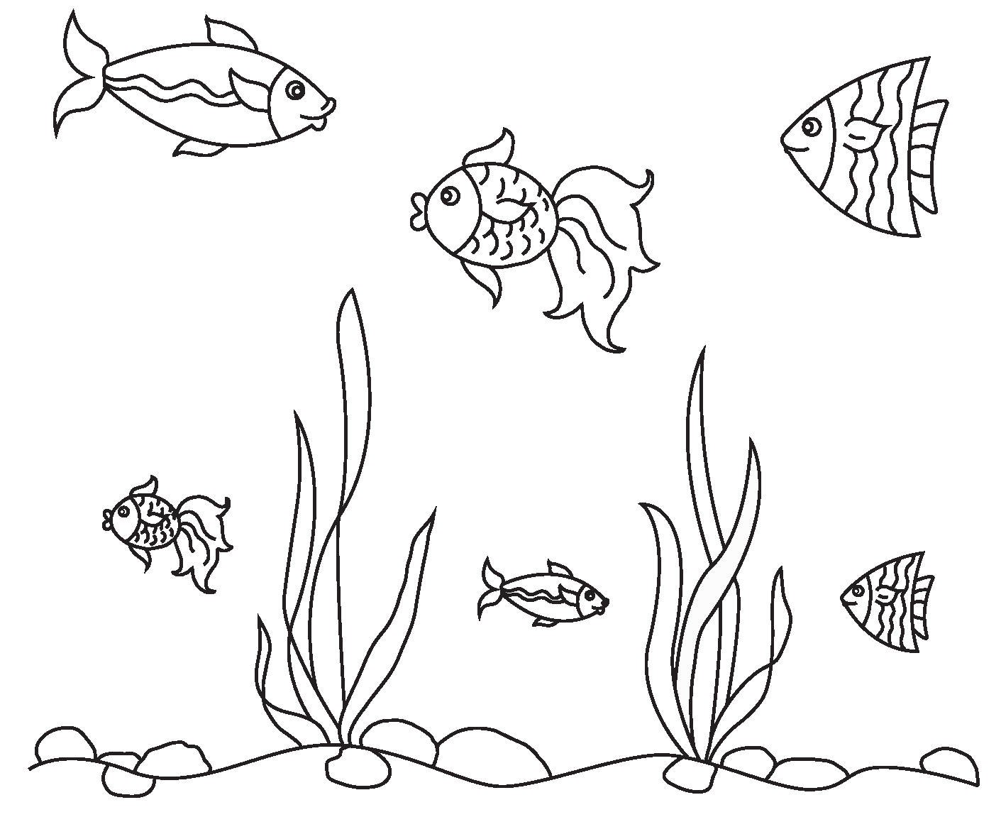 Рыбки плавающие в аквариуме средняя группа