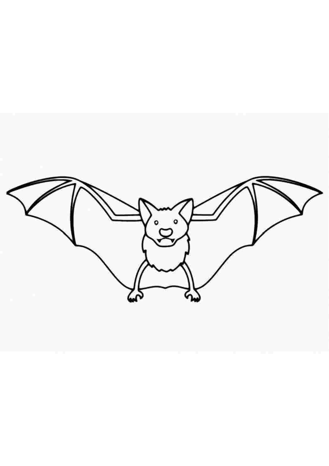 Как нарисовать летучую мышь на Хэллоуин для детей