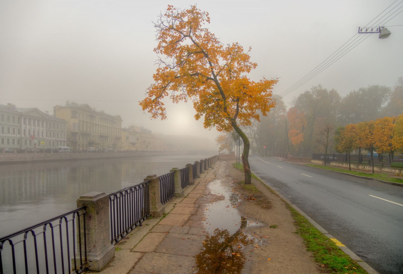 Парк пасмурно. Санкт-Петербург осень Фонтанка. Санкт Петербург туман Фонтанка. Туманный осенний Питер.