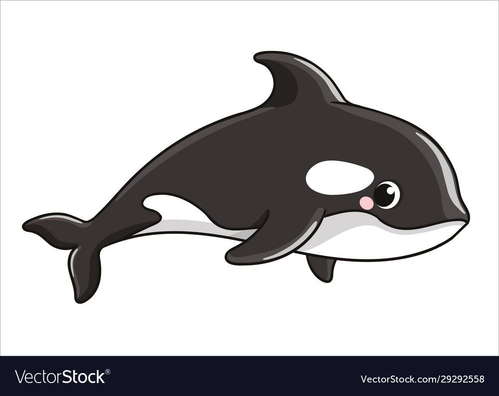 Касатка эмблема