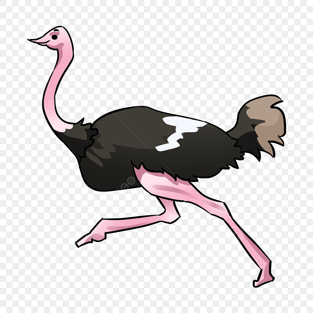 Фон для презентации Страусы детская