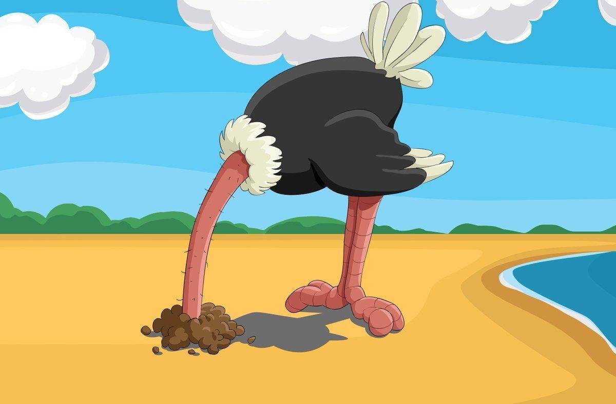 Африканский страус рисунок