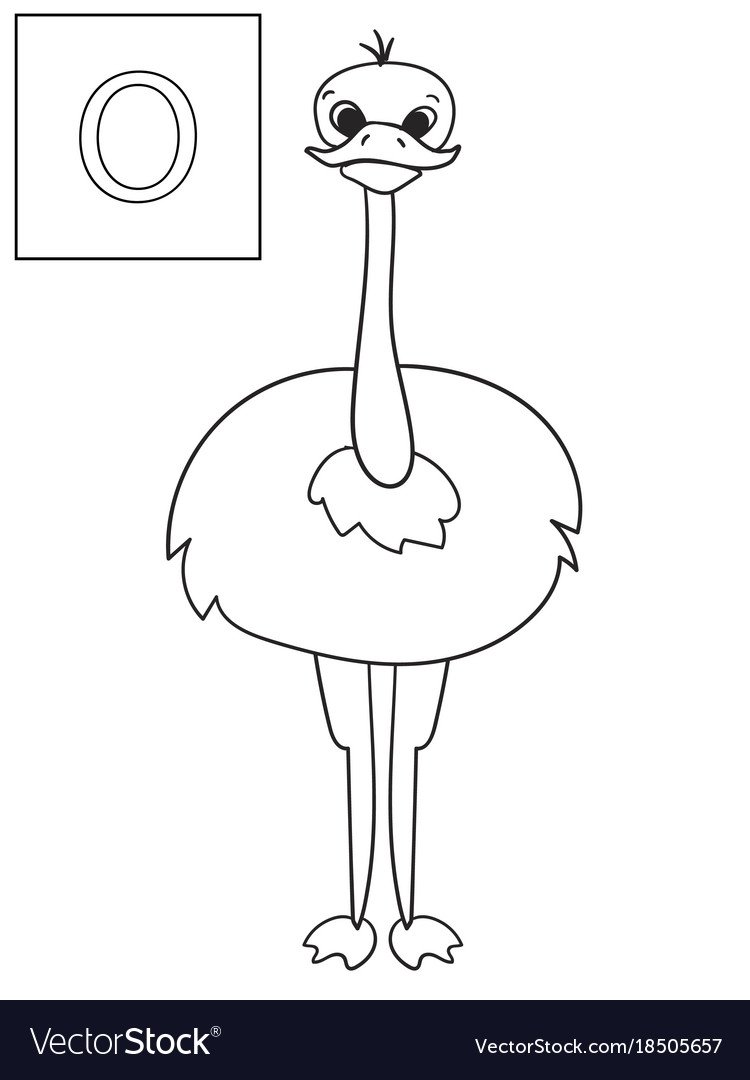 Страус задания дошкольники