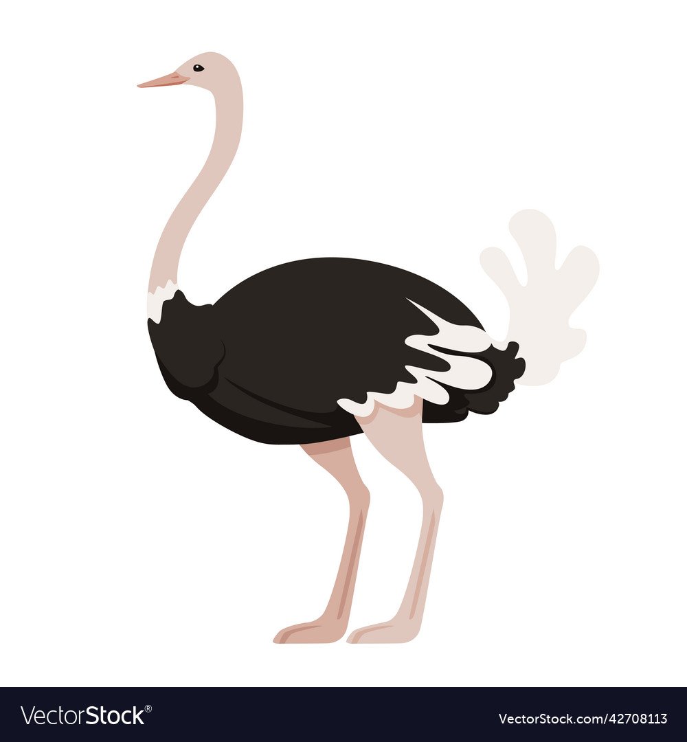 Страус в очках селфи