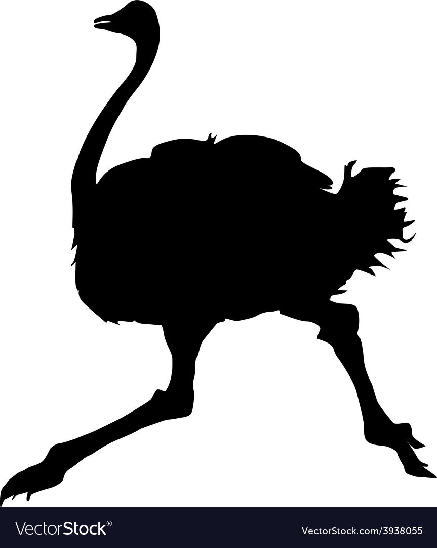 Страус гуашью для детей