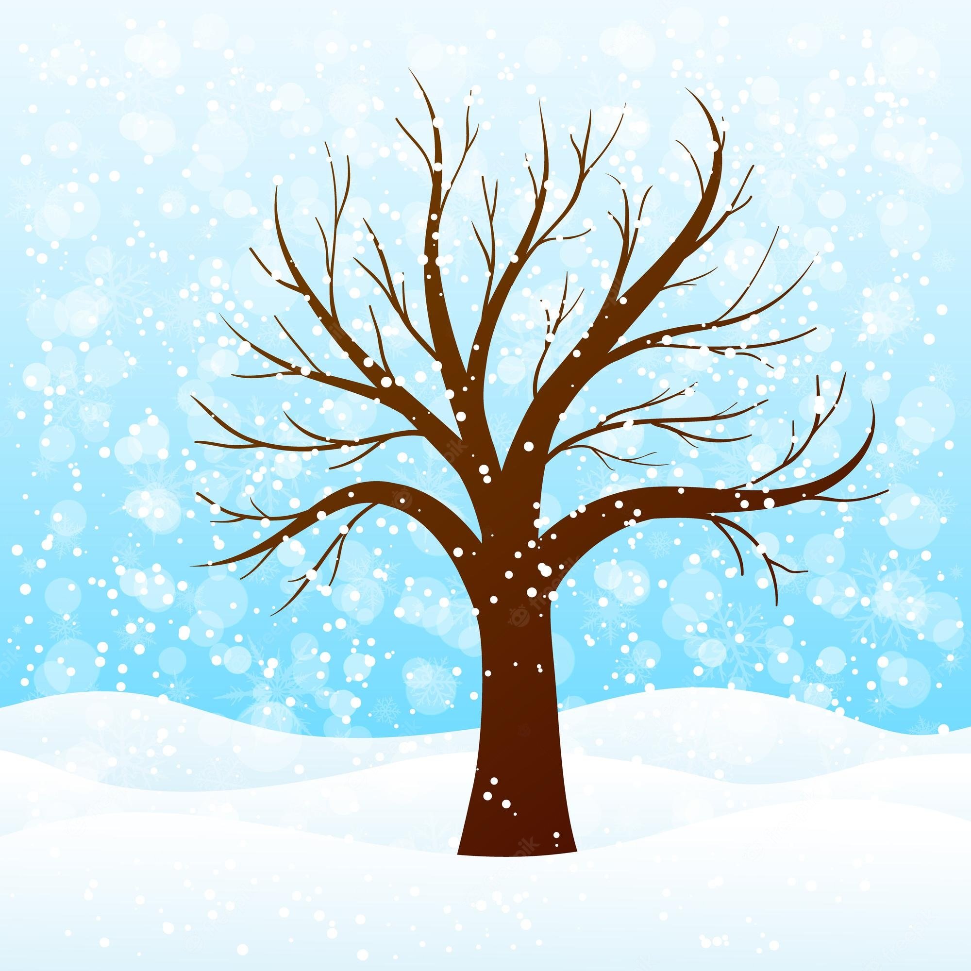 Деревья зимой для детей