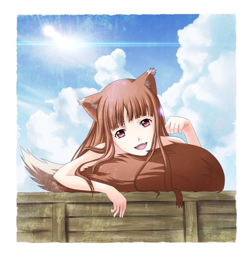 Холо мудрая 18