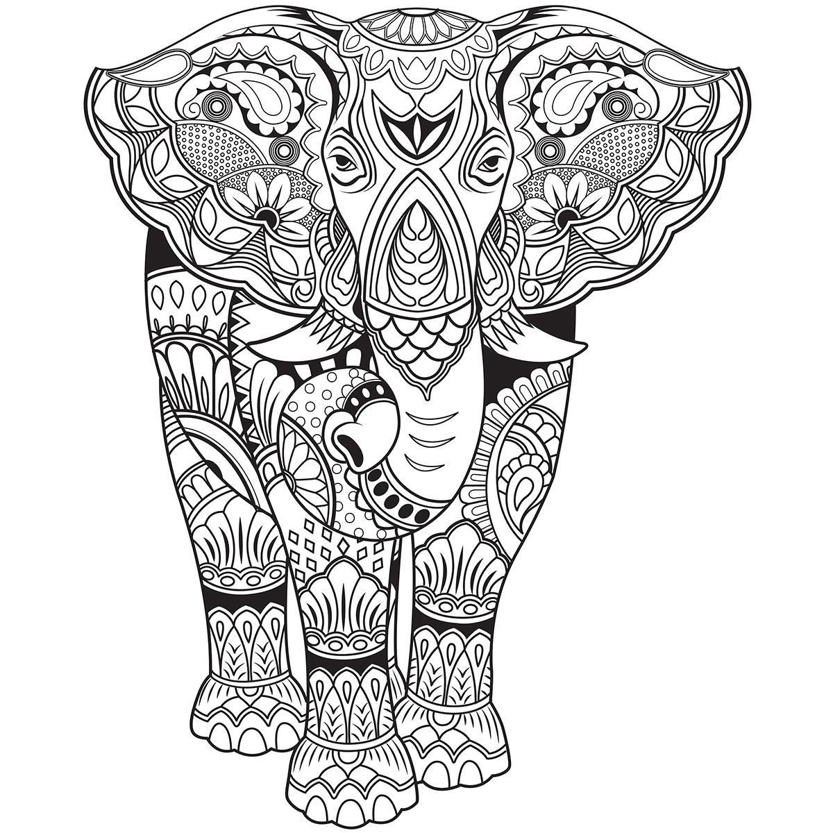 Обои-раскраски «Индийский слон»