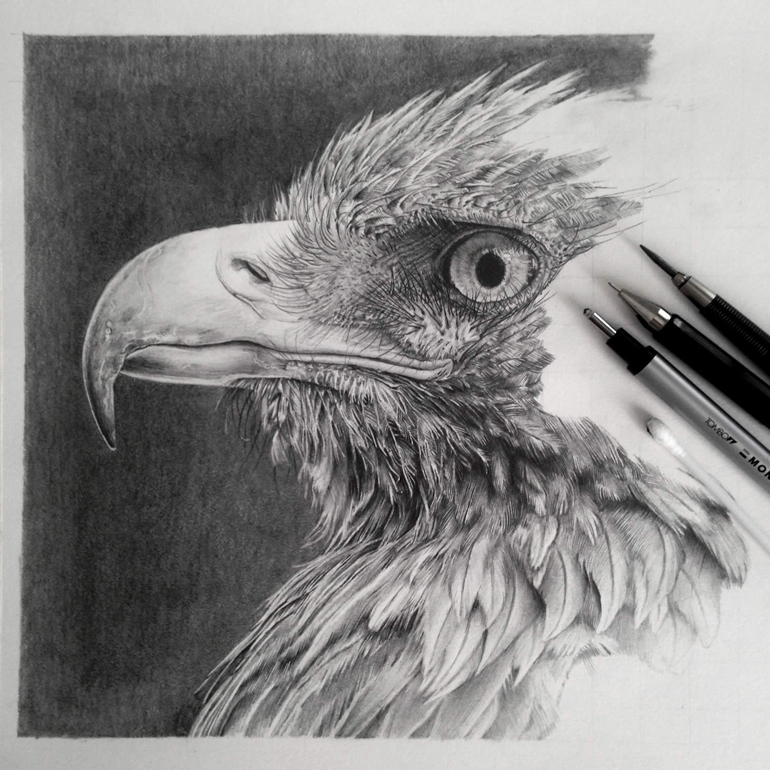 Простой карандаш художников. Рисунки карандашом. Графика карандашом. Животные карандашом. Профессиональные рисунки.