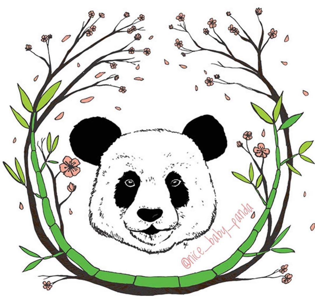 Панда контурный рисунок