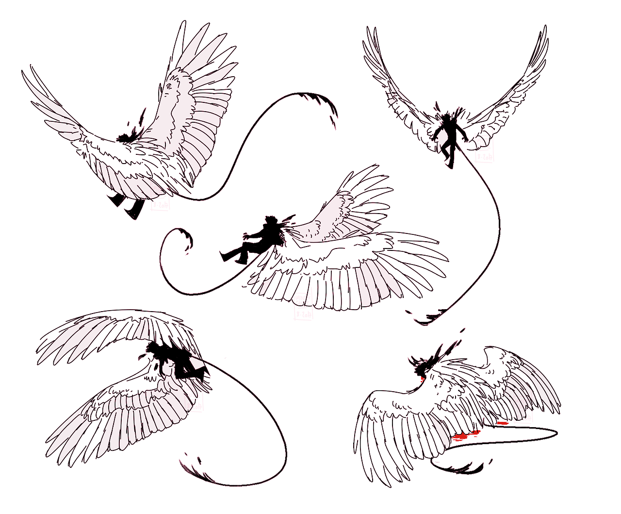 Звуки птицы тутор. Крылья референс. Крылья птицы для рисования. Крылья птиц с разных ракурсов. Позы птиц.