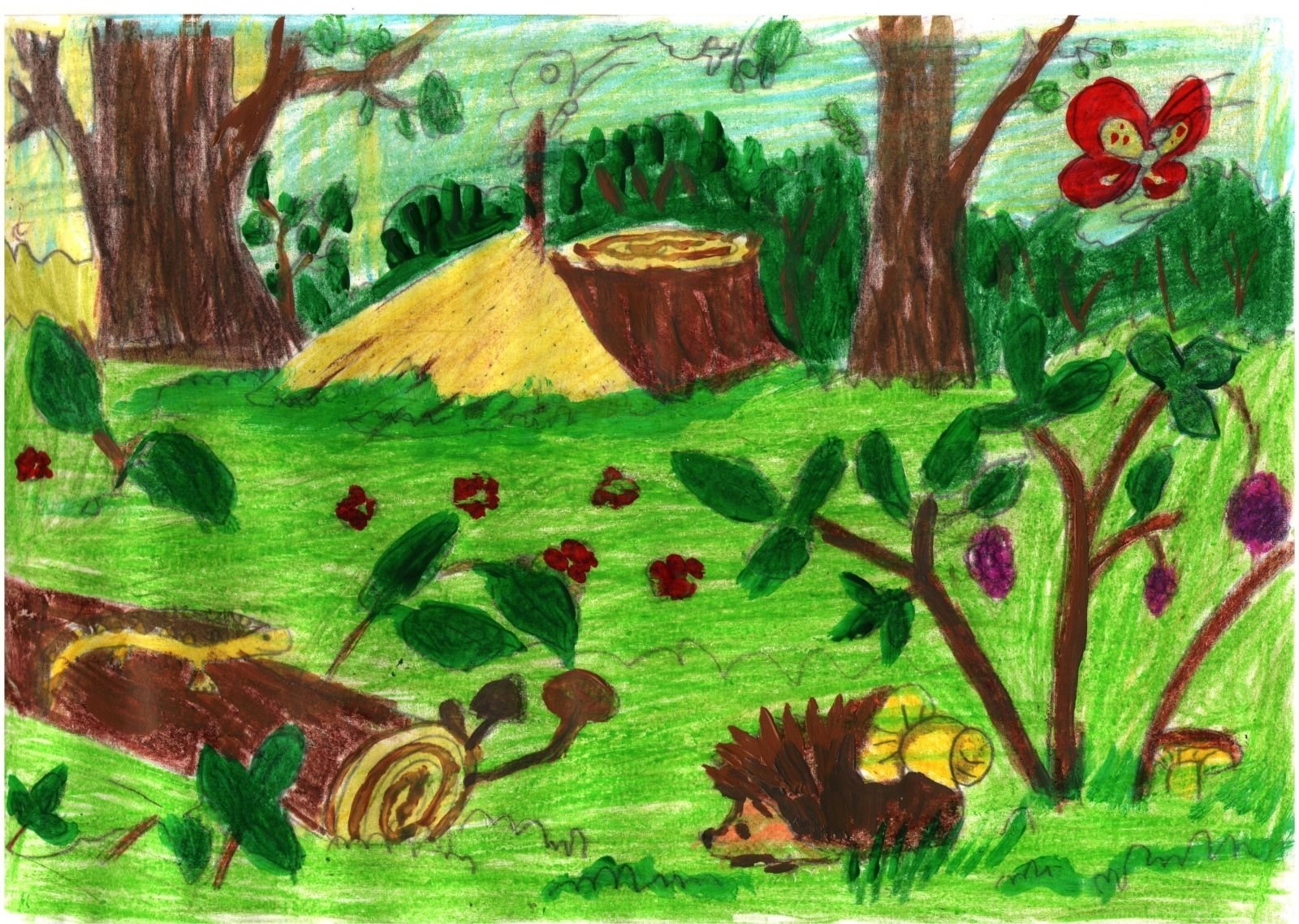 Рисунок природы леса. Рисунок на тему лес. Лес глазами детей. Детский рисунок лес. Детский рисунок природа.