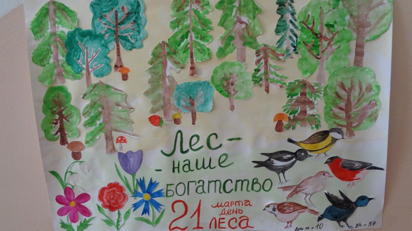 День леса плакат. Международный день лесов плакаты. Международный день леса плакат. Международный день лесов старшая группа.