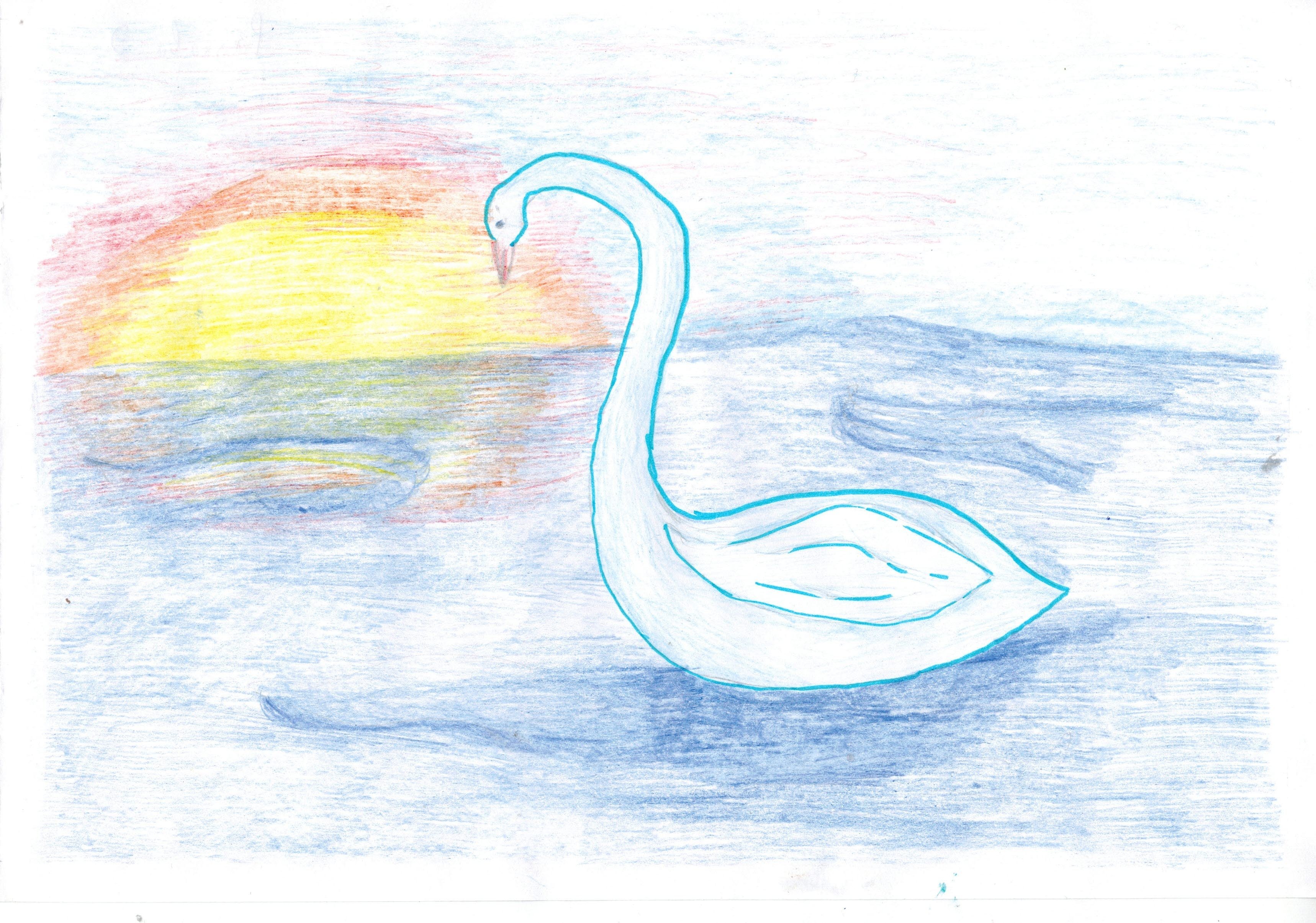 Произведение лебедь. Сен Санс лебедь иллюстрация. Сен-Санса лебедь рисунок. Рисунок к пьесе "лебедь" сен-Санса. Сен-Санс карнавал животных лебедь.