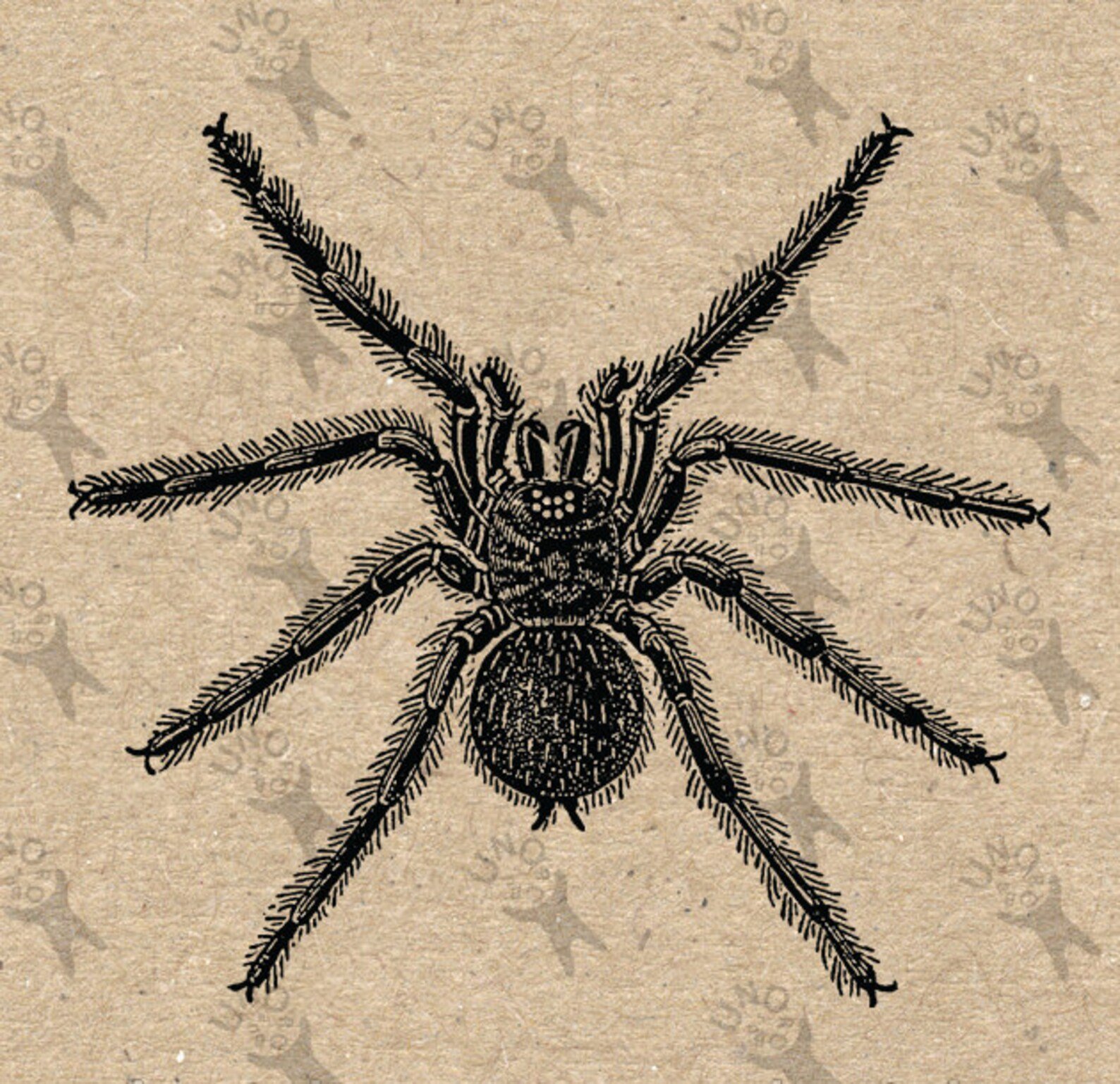 Винтажная картина паука