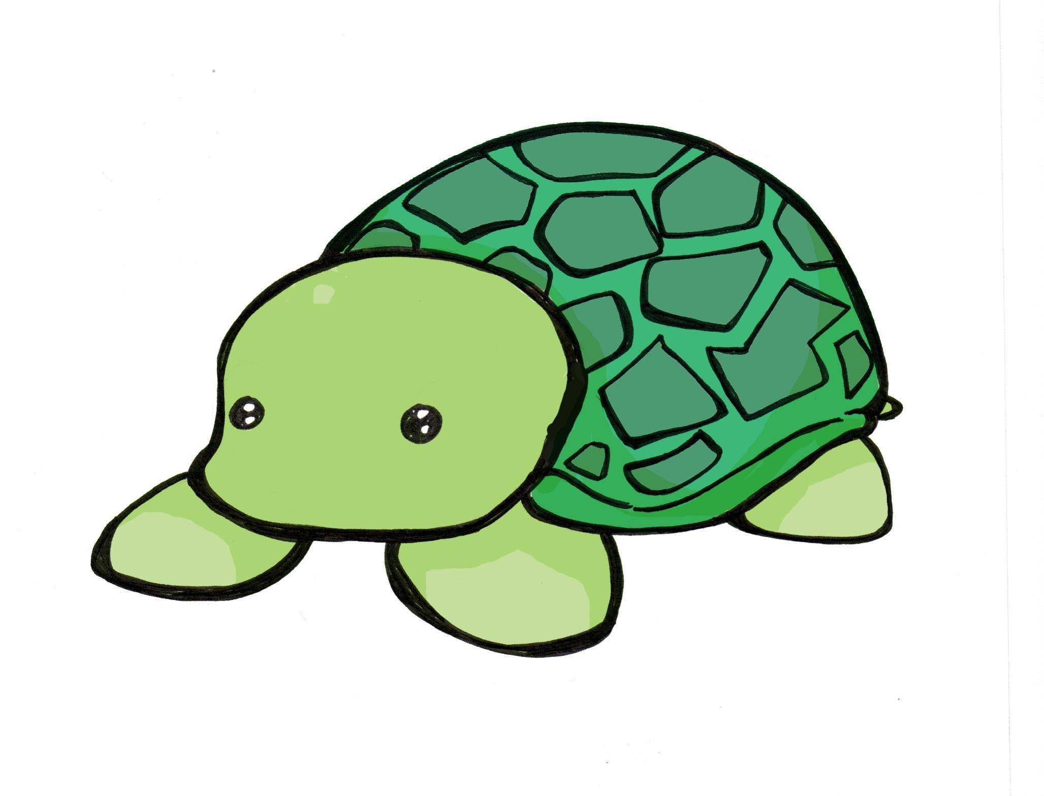 Рисунки черепахи для срисовки - 77 фото