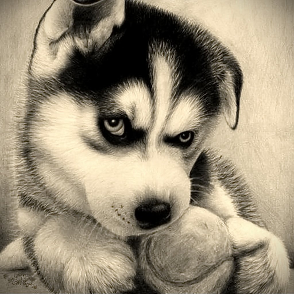 Алмазная мозаика щенок хаски