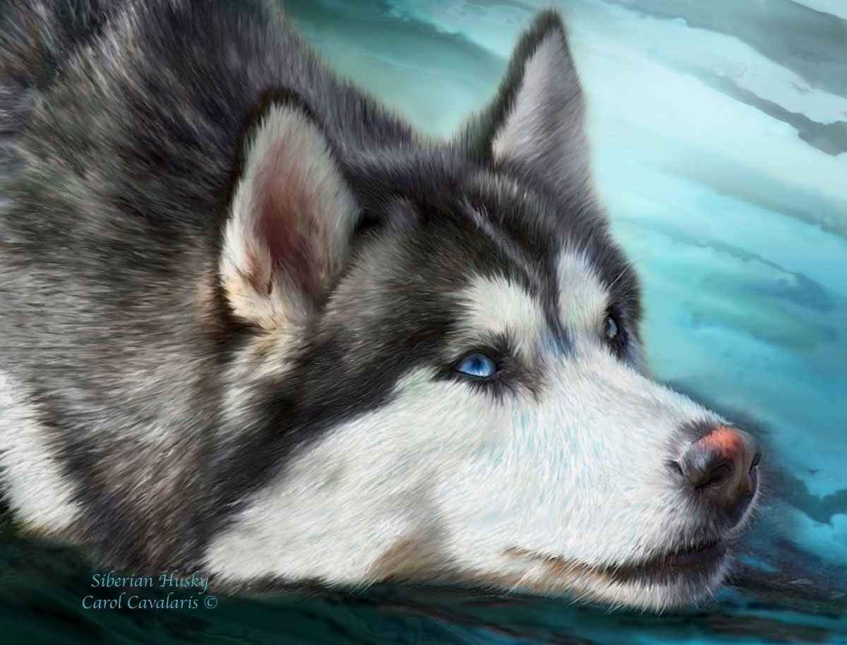 Минималистичный хаски