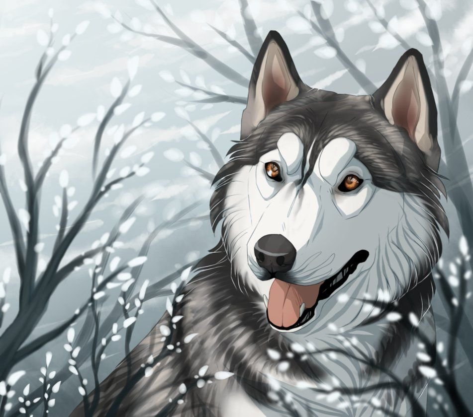 Собака хаски арт