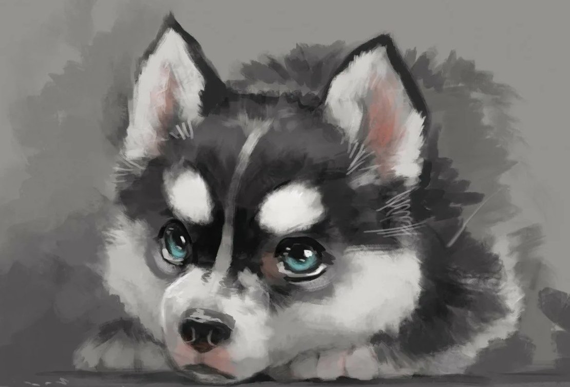 Хаски аниме