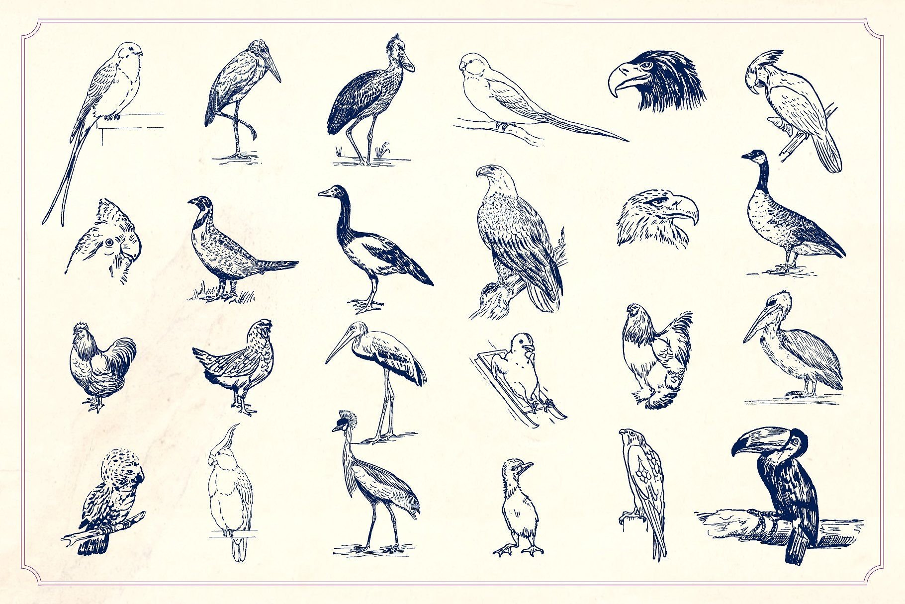 Фигуры птиц рисунок