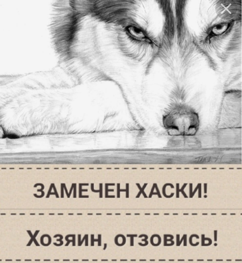 Обезьяна рисунок карандашом