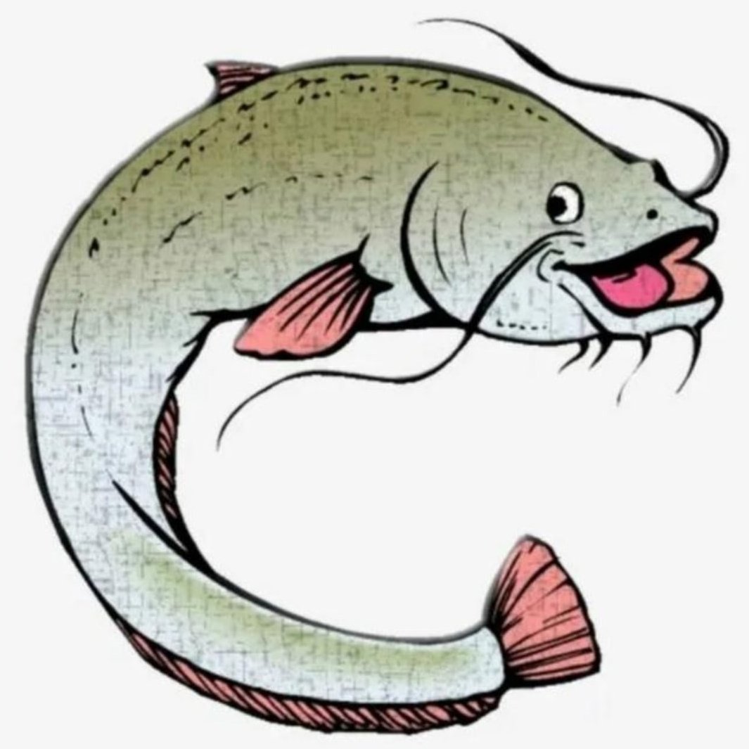 Сом рисунок