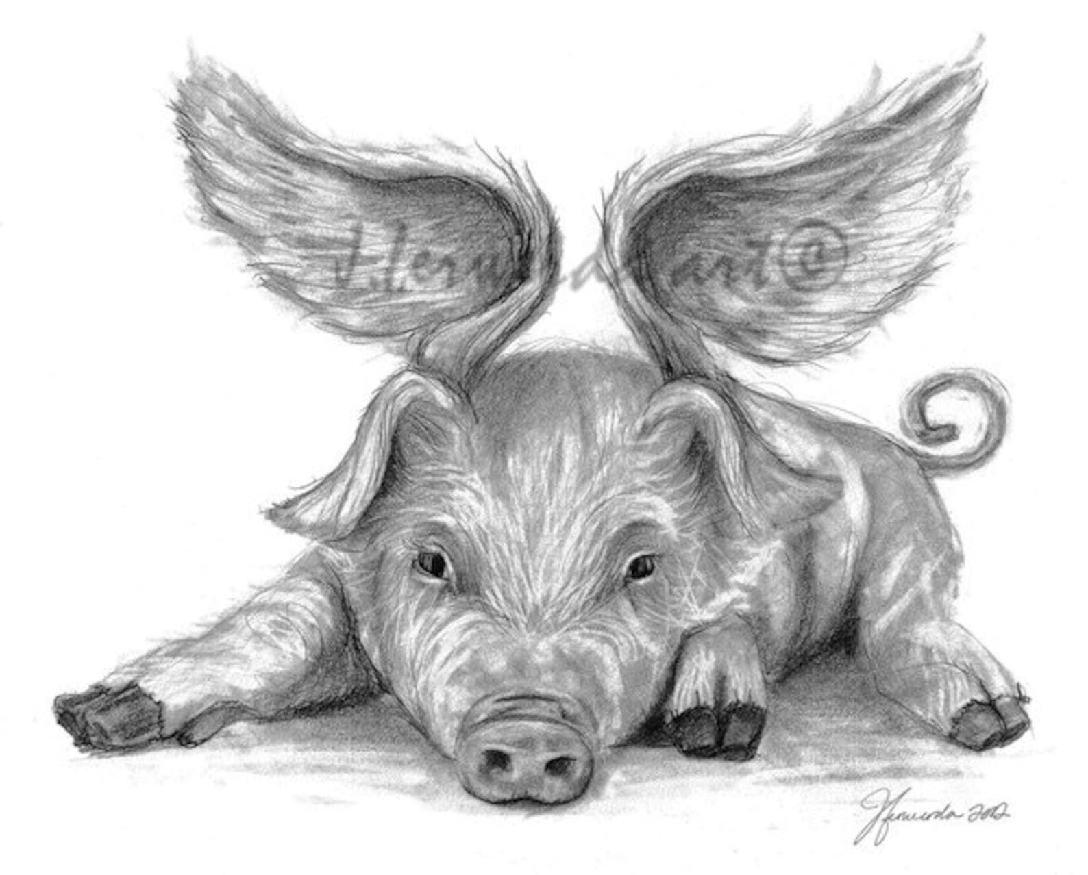 Свинья карандашом. Животные карандашом. Рисунки животных карандашом. Рисунки животных карандашом для срисовки. Свинья рисунок карандашом.