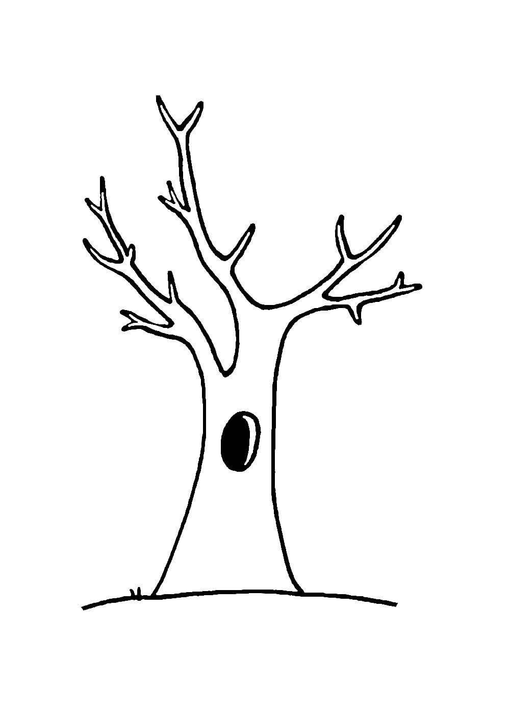 Раскраски Дерево без листьев (7 шт.) - скачать или распечатать бесплатно #
