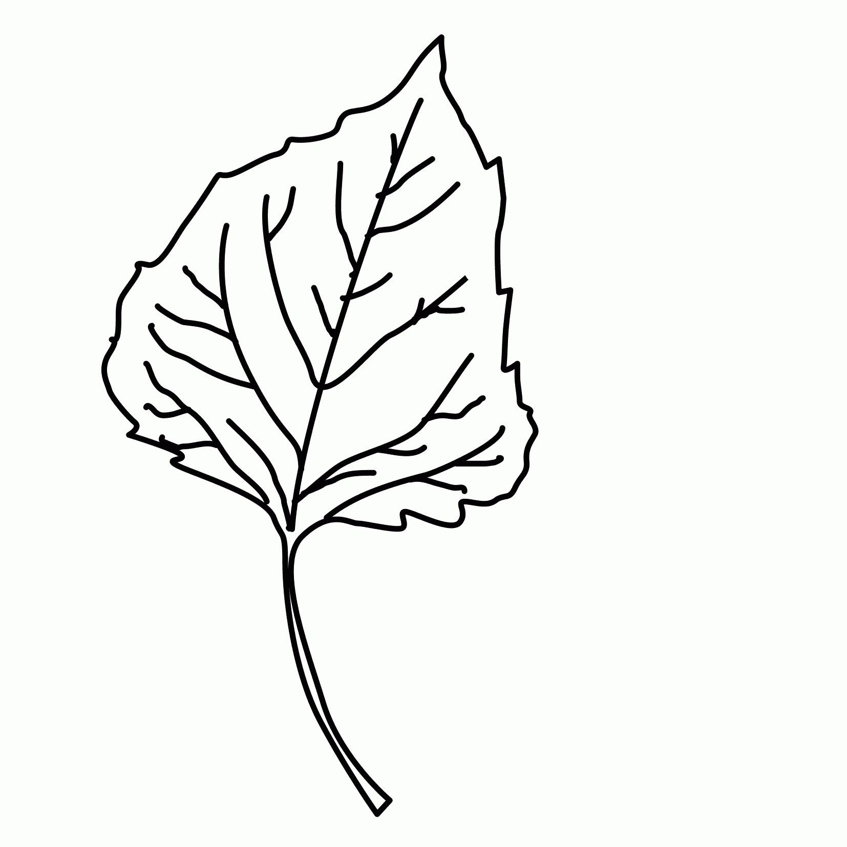 Шаблоны листьев березы для вырезания. Рисунки листьев. Листочки раскраска. Трафарет листьев. Листья раскраска для детей.