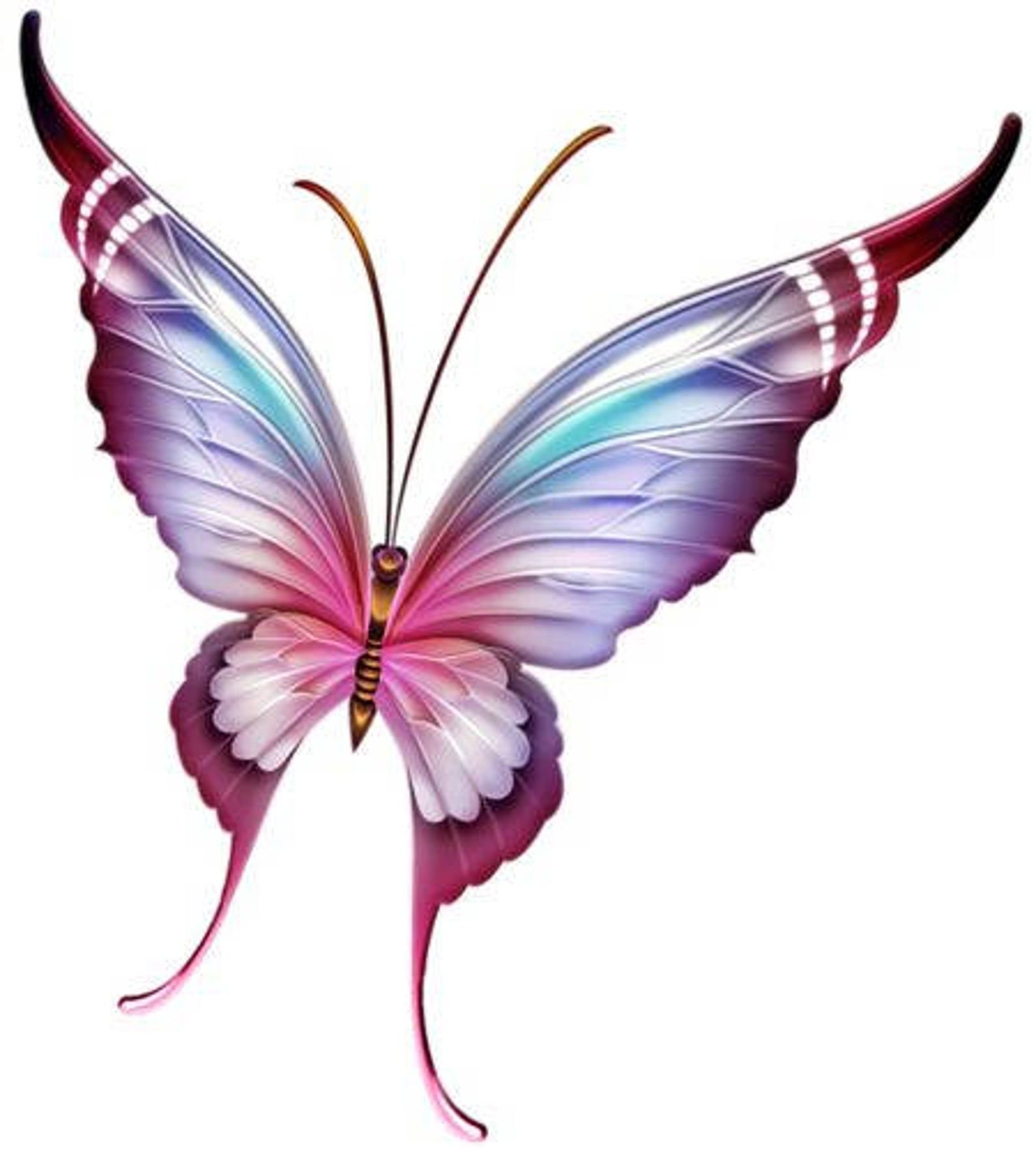 Пнг изображения. Сказочная бабочка. Бабочка рисунок. Бабочки на белом фоне. Бабочки для фотошопа.