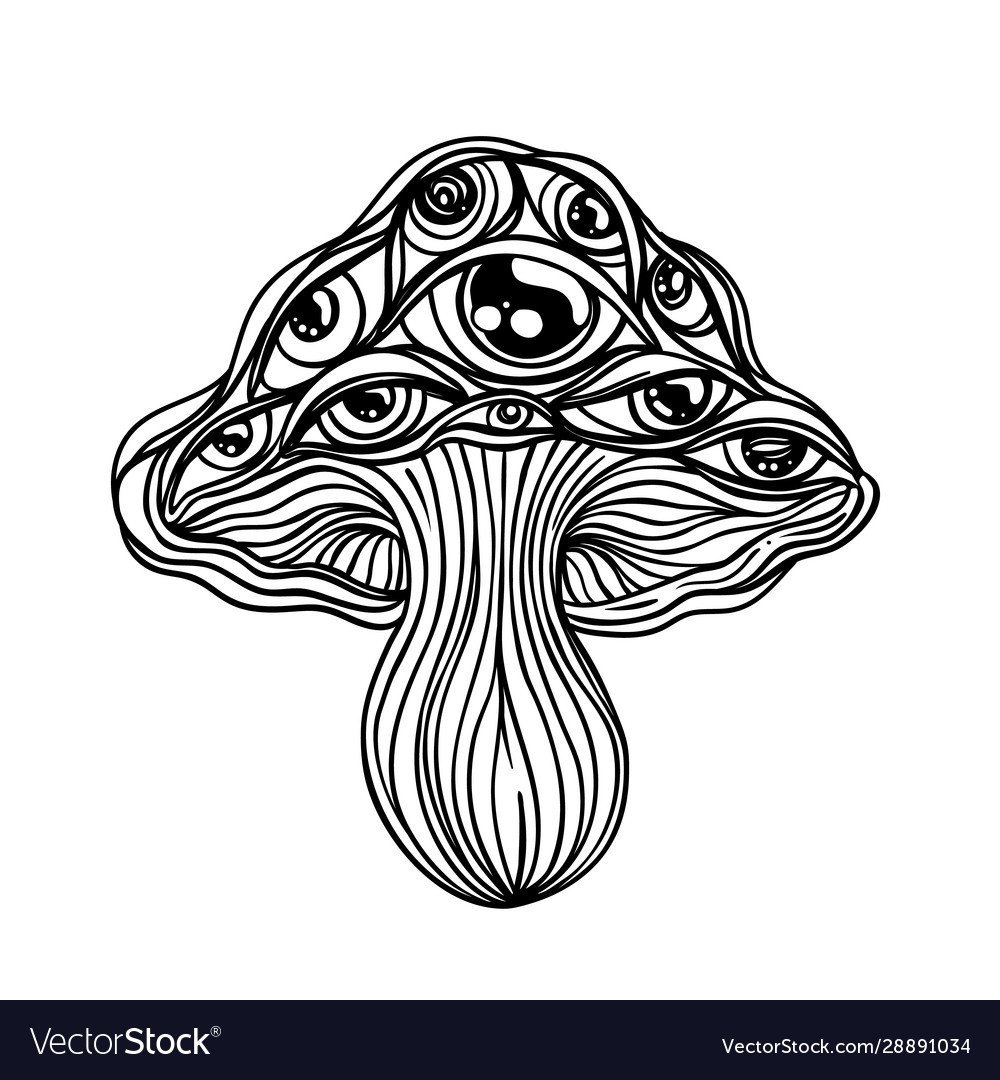 Психоделические грибы чб