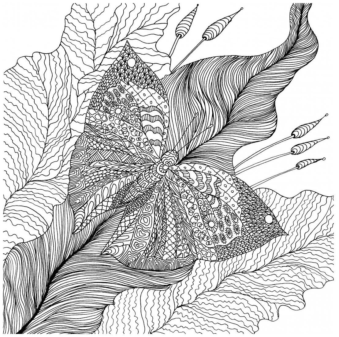 Зендудл цветы