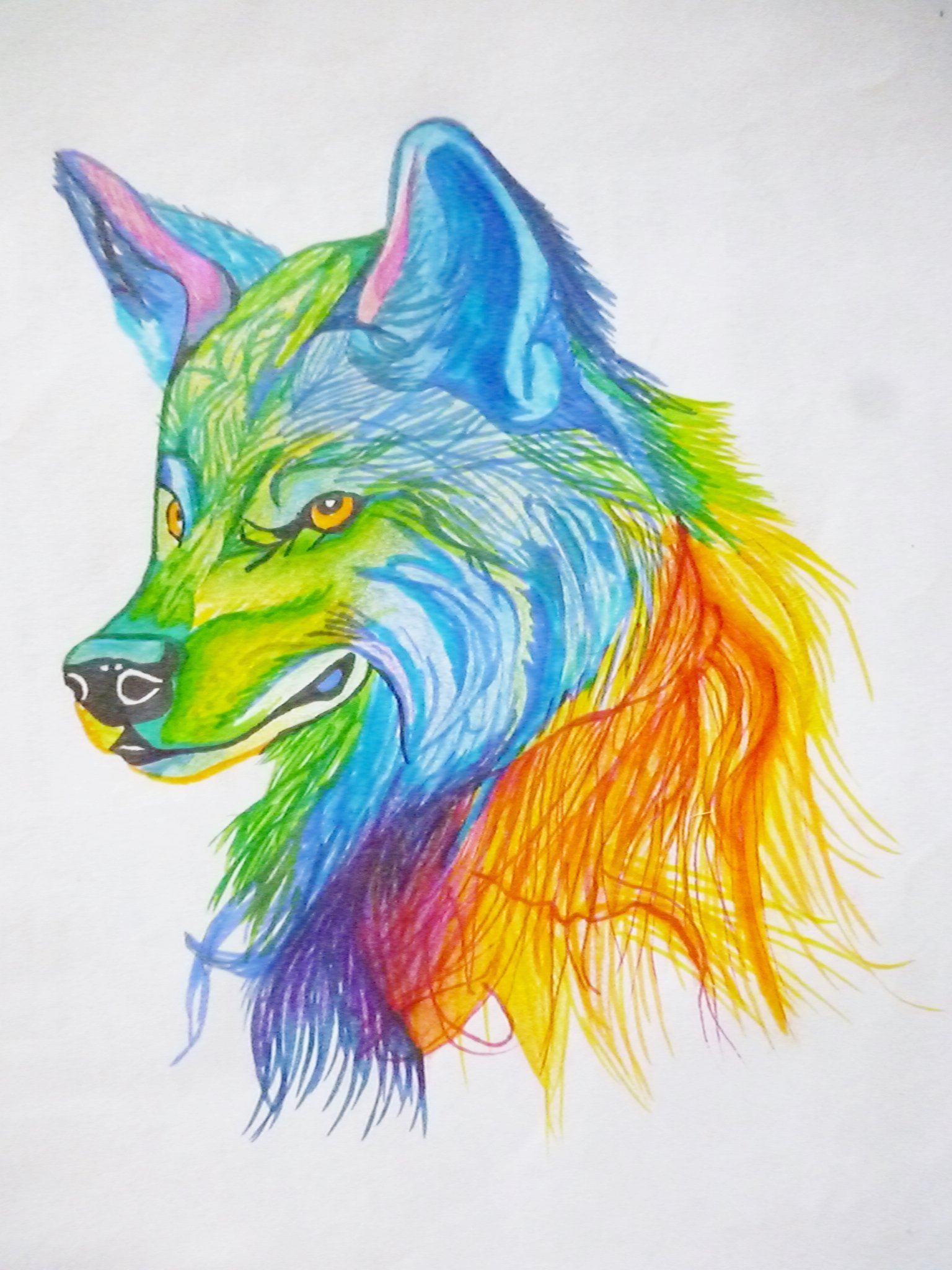 Цветные картинки волка. Волк рисунок. Рисунки цветные. Волк цветными карандашами. Рисунки разноцветные.