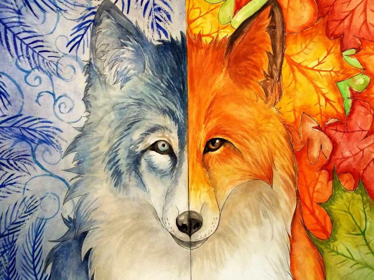 Волк и лиса 6. Волк рисунок. Волк и лиса. Рисунок лисы. Лисичка и волк.