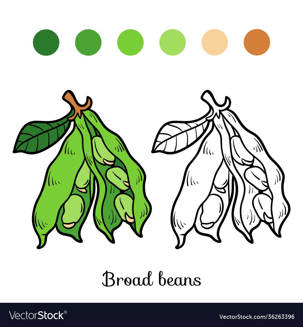 Фасоль раскраска для детей