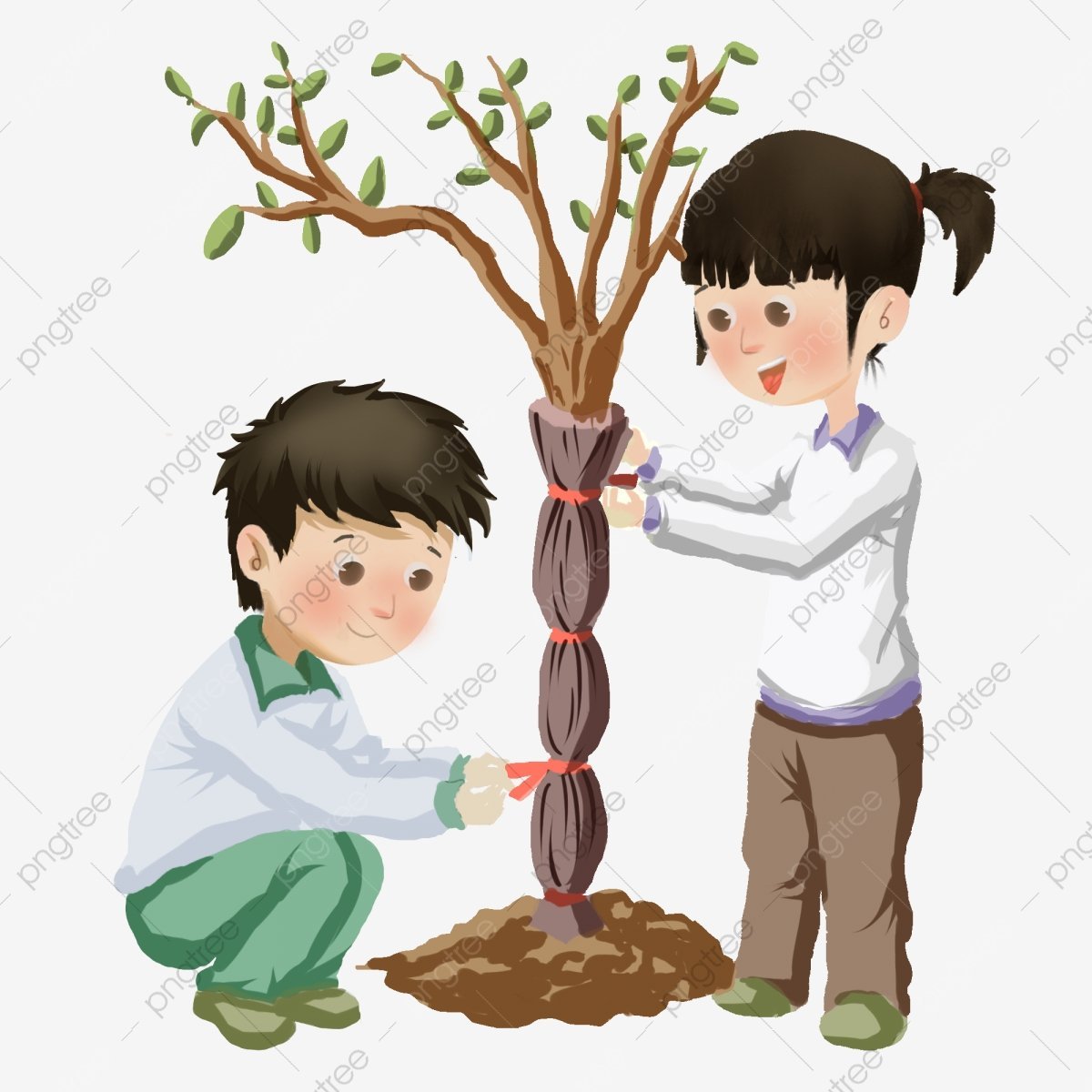 Посадить дерево ветками