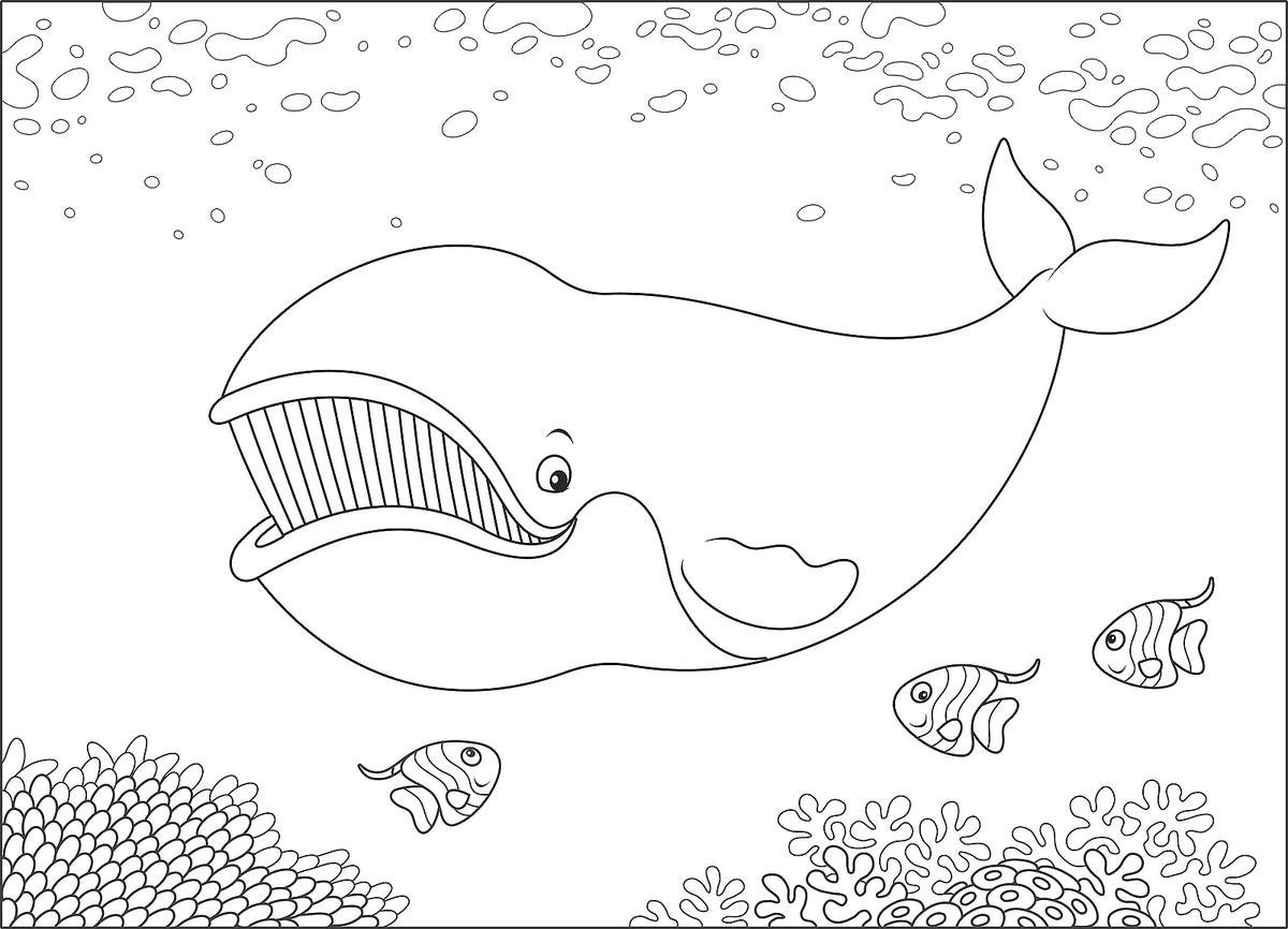 Кит раскраска для детей