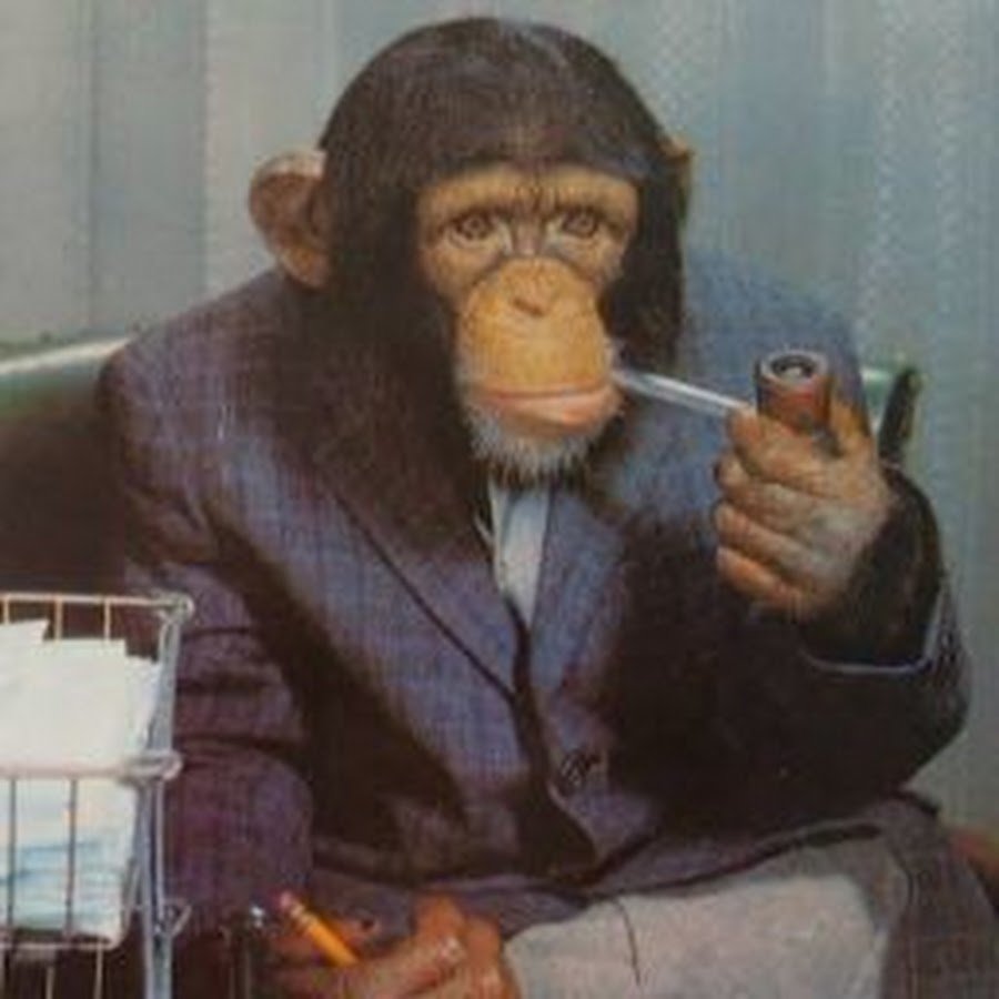 Частная охранная организация Шеврон