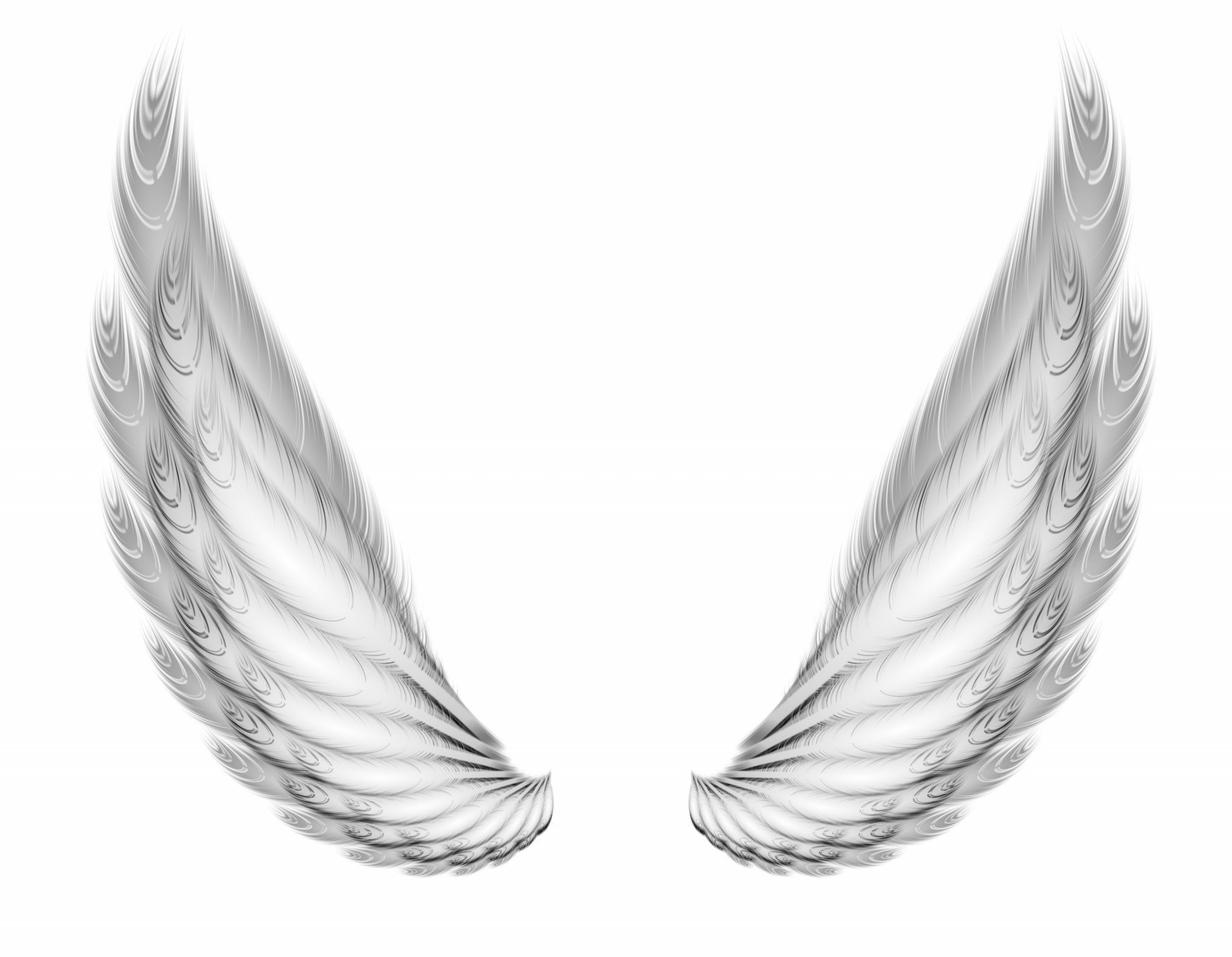 Крылья картинки. Красивые Крылья. Крылья ангела. Крылья для фотошопа без фона. Раскрытое крыло.