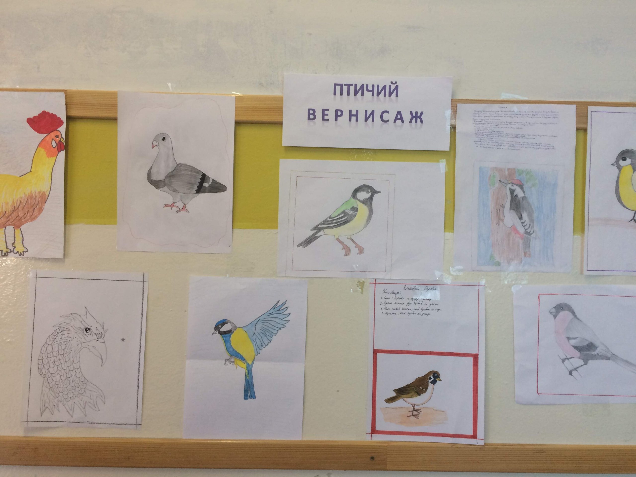 Мероприятие посвященное дню птиц. Выставка рисунков ко Дню птиц. Международный день птиц рисунок. Плакат на день птиц. 1 Апреля день птиц.