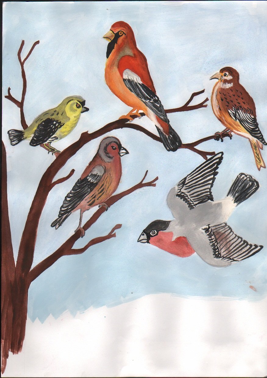 Рисунок к дню птиц. День рисования птиц. Рисунок ко Дню птиц. Картина на день птиц. Творческие работы детей ко Дню птиц.