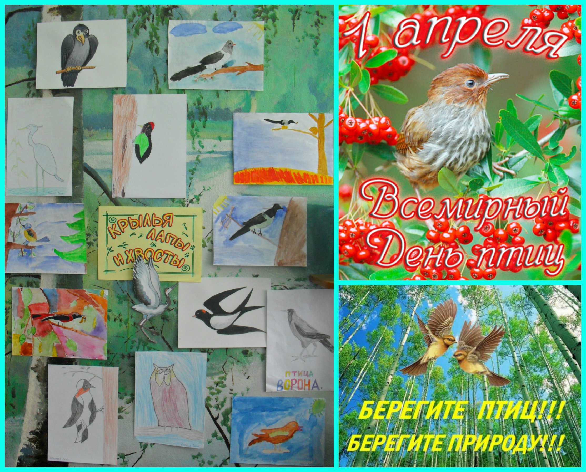 1 апреля международный день птиц в детском. 1 Апреля день птиц. Международный день птиц плакат. День птиц мероприятия. Международный день птиц мероприятия.