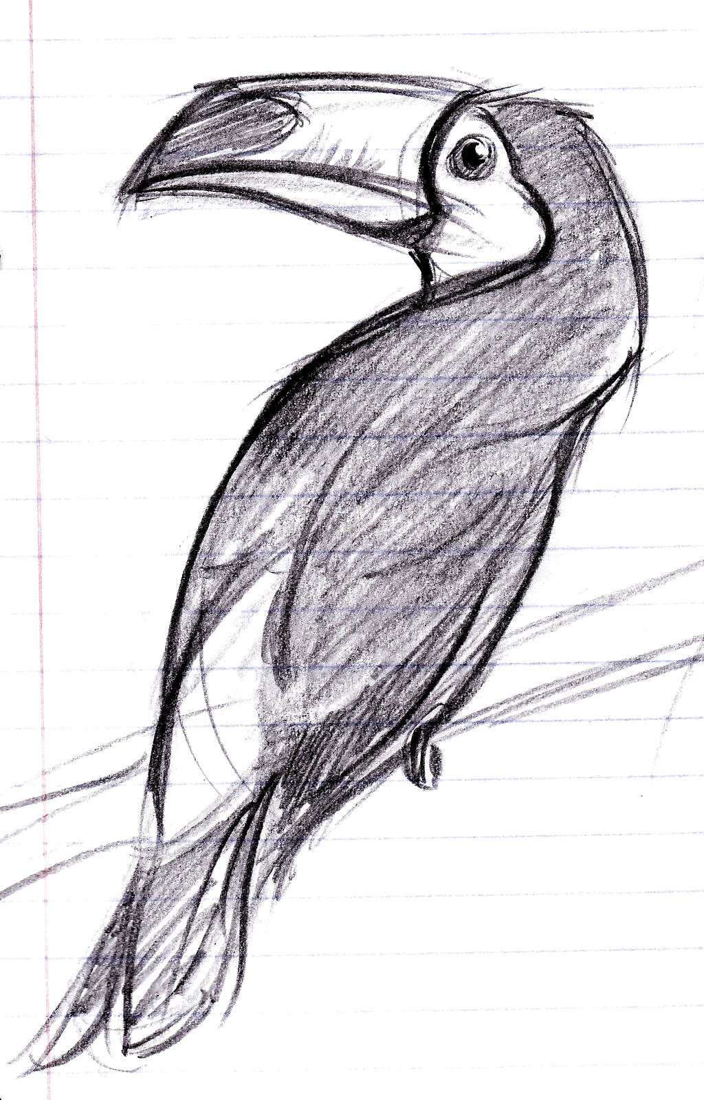 Птицы карандашом для срисовки. Рисунки птиц для срисовки. Рисунки для срисовки птицы легкие. Рисунок птицы карандашом для срисовки легкие.