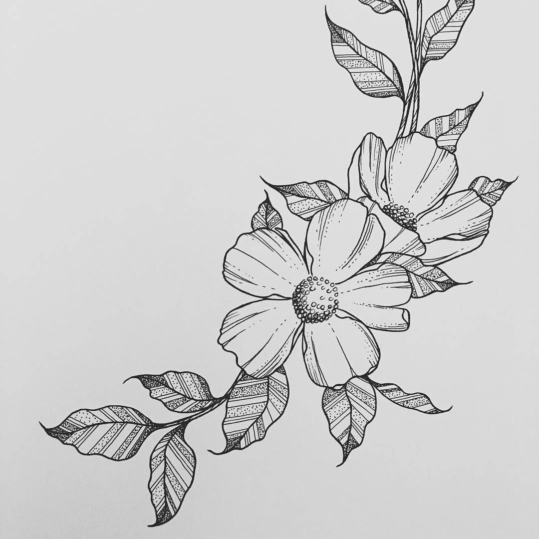 Цветок рисунок для срисовки карандашом - 85 фото