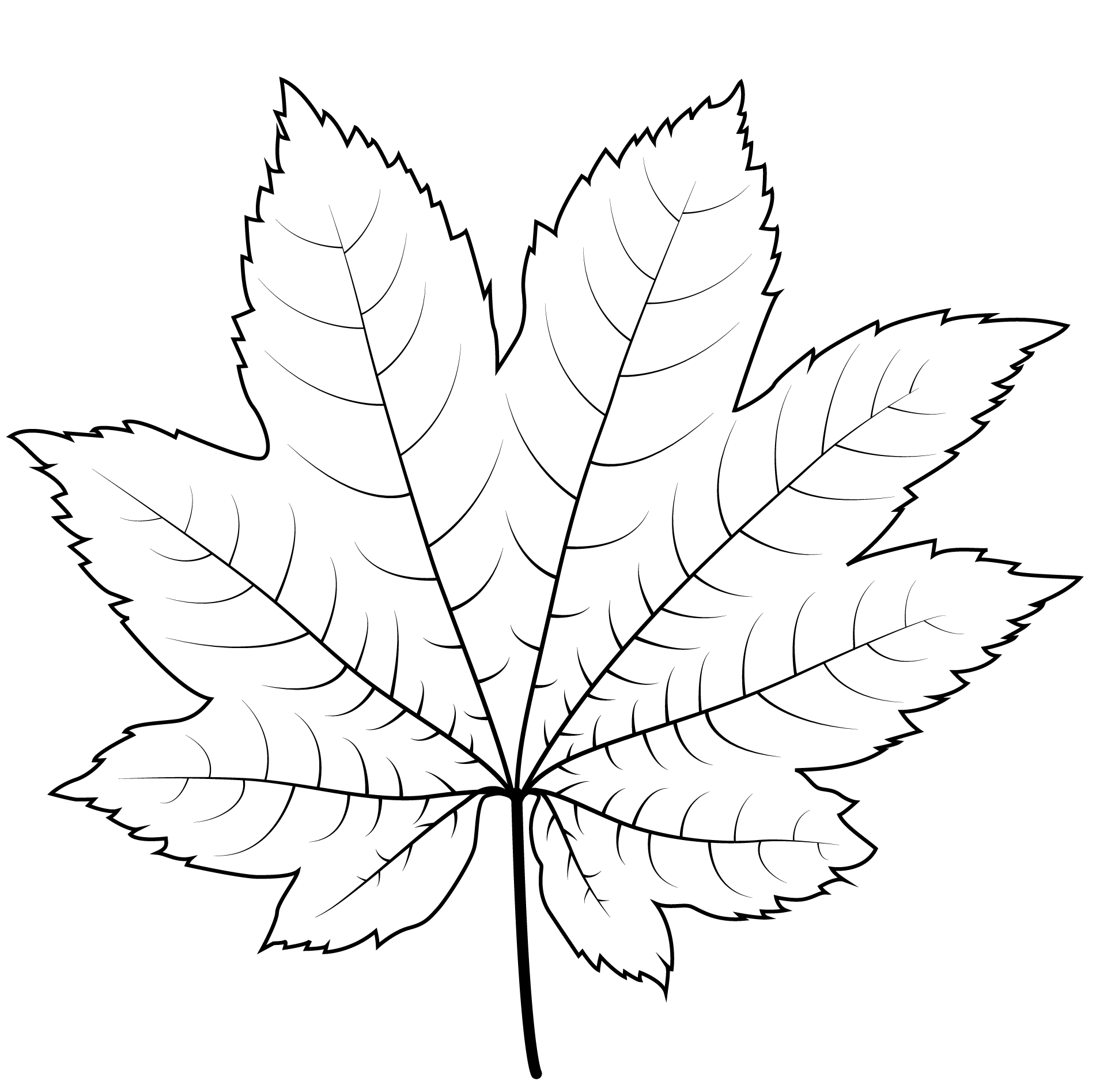 Картинка лист черно белый. Листья раскраска. Листья деревьев раскраска. Раскраска листья деревьев для детей. Листья раскраска для детей.