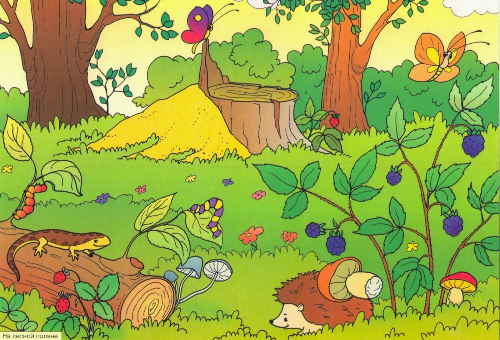 Найди всех животных на картинке 165 уровень. Лес для дошкольников. Лес картинка для детей. Сказочный лес с грибами. Поляна в лесу для детей.